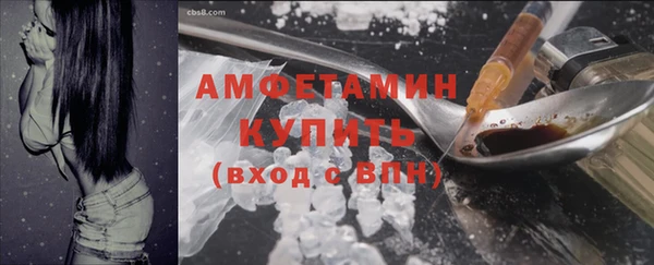ГАЛЛЮЦИНОГЕННЫЕ ГРИБЫ Каменногорск