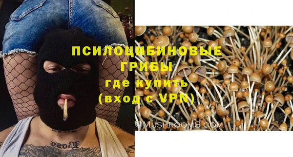 гашик Каменск-Шахтинский