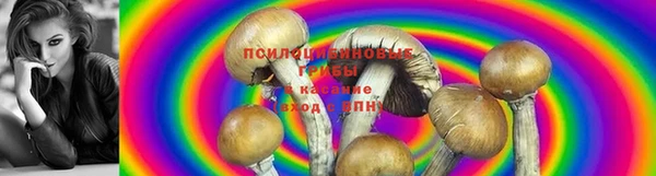 мяу мяу кристалл Инсар