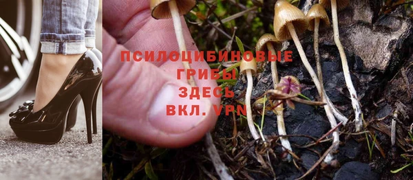 гашик Каменск-Шахтинский