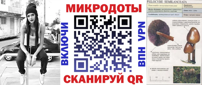 Псилоцибиновые грибы MAGIC MUSHROOMS  Купить закладки  Закаменск 
